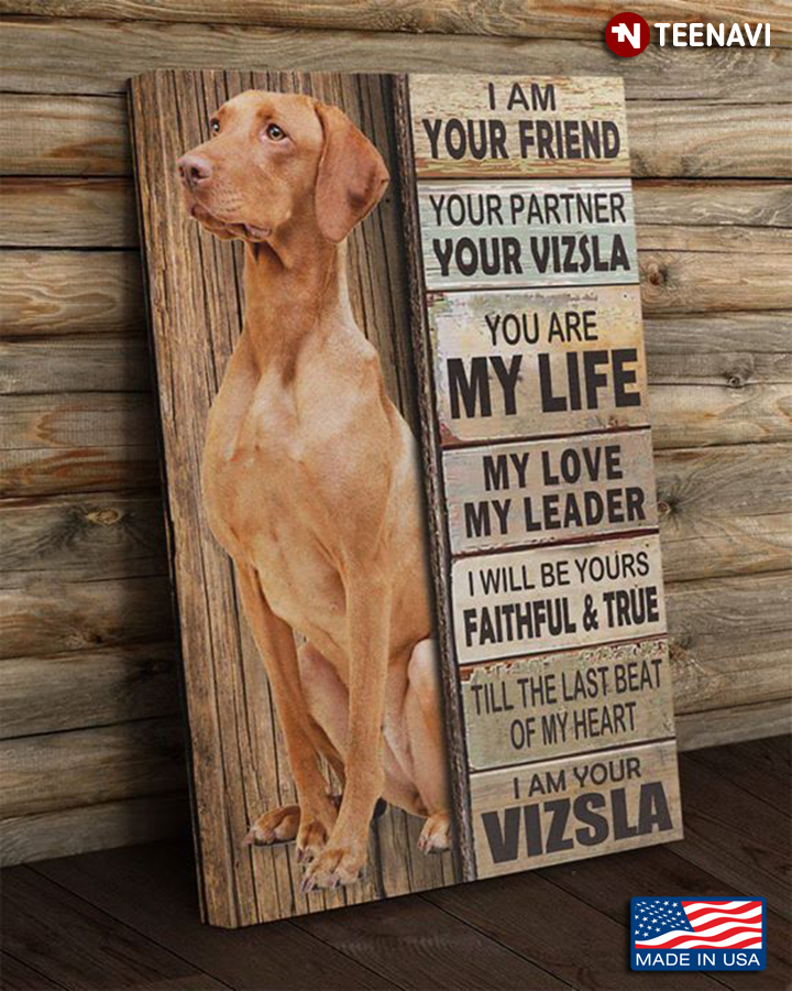 Cool Vizsla I Am Your Friend Your Partner Your Vizsla You Are My Life My Love My Leader