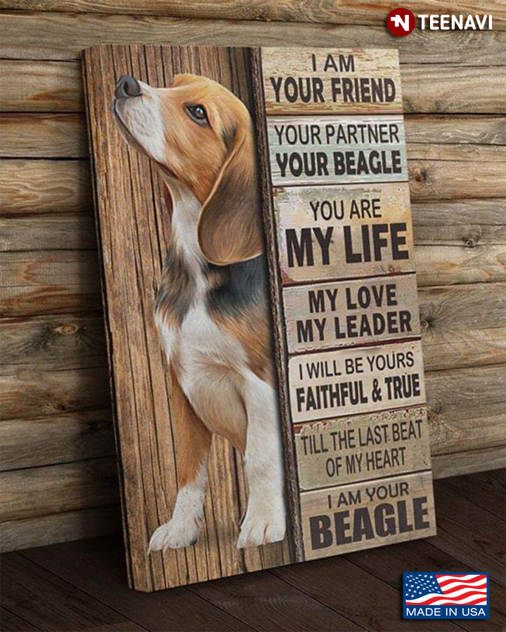 Cool Beagle I Am Your Friend Your Partner Your Beagle You Are My Life My Love My Leader