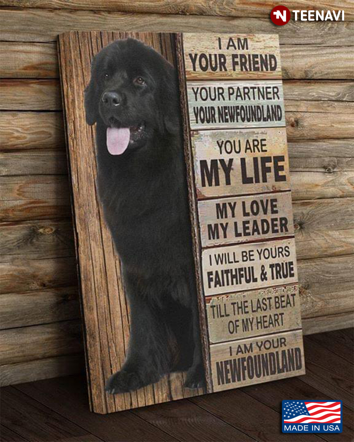 Cool Newfoundland I Am Your Friend Your Partner Your Newfoundland You Are My Life My Love My Leader
