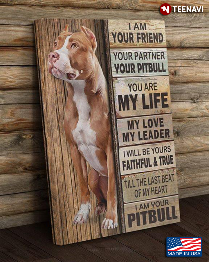 Cool Pitbull I Am Your Friend Your Partner Your Pitbull You Are My Life My Love My Leader