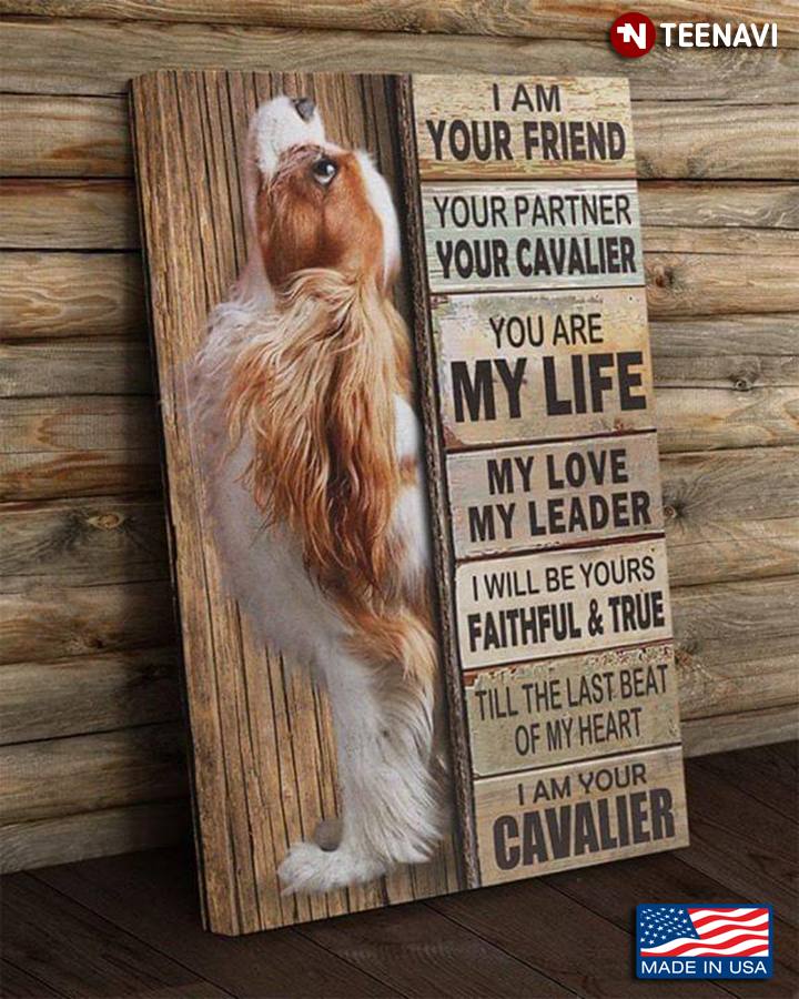 Cool Cavalier I Am Your Friend Your Partner Your Cavalier You Are My Life My Love My Leader