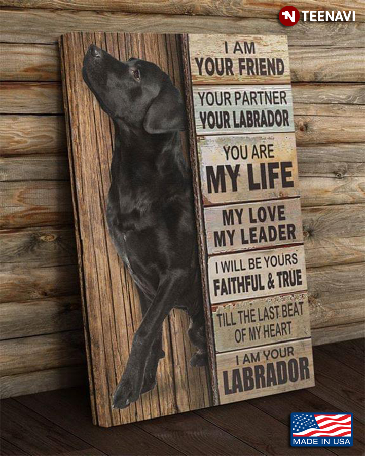 Cool Labrador I Am Your Friend Your Partner Your Labrador You Are My Life My Love My Leader