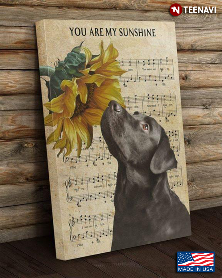 Vintage Sheet Music Theme Black Labrador Smelling A Sunflower You Are My Sunshine