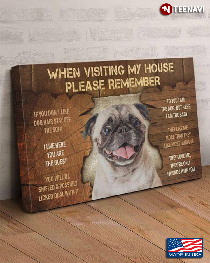 Vintage Pug When Visiting My House Please Remember If You Don’t Like Dog Hair
