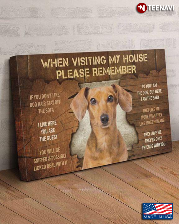 Vintage Dachshund When Visiting My House Please Remember If You Don’t Like Dog Hair