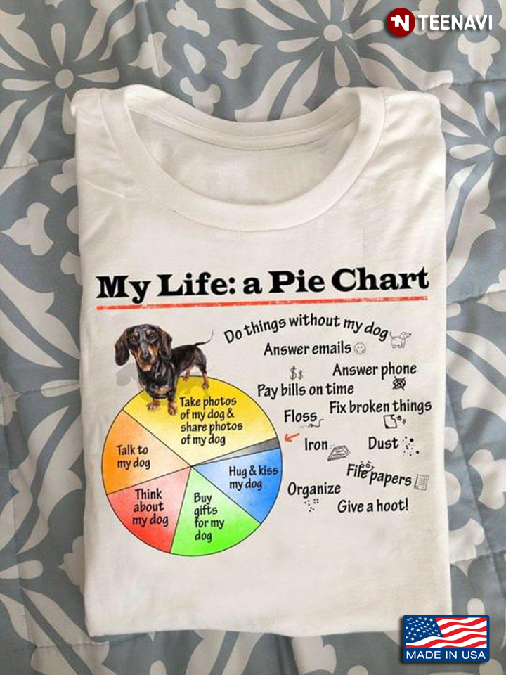 My Life A Pie Chart Do Things Without My Dog Answer Emails Answer Phone