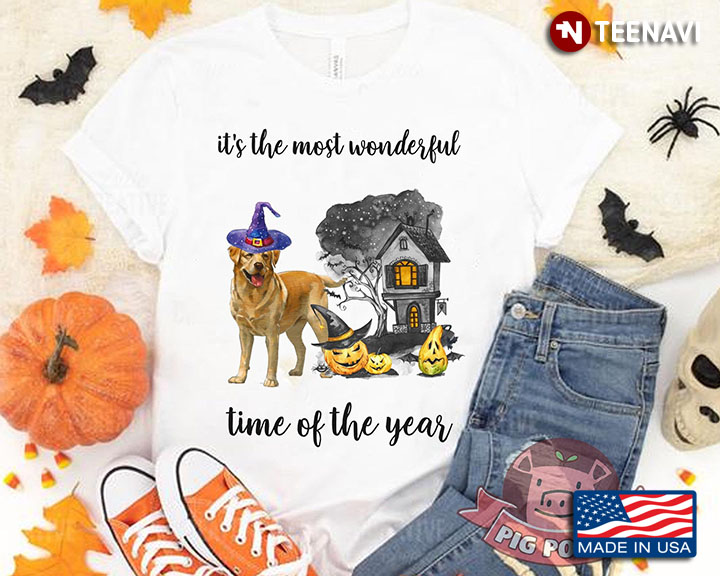 Golden Retrieve Witch It's The Most Wonderful Time Of The Year Halloween