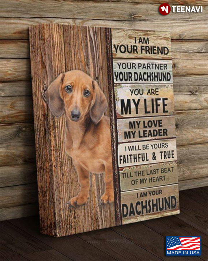 Vintage Dachshund I Am Your Friend Your Partner Your Dachshund You Are My Life My Love My Leader