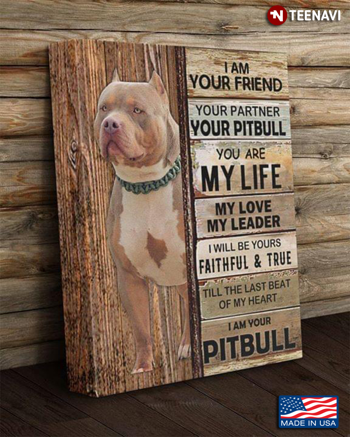 Vintage Pitbull I Am Your Friend Your Partner Your Pitbull You Are My Life My Love My Leader