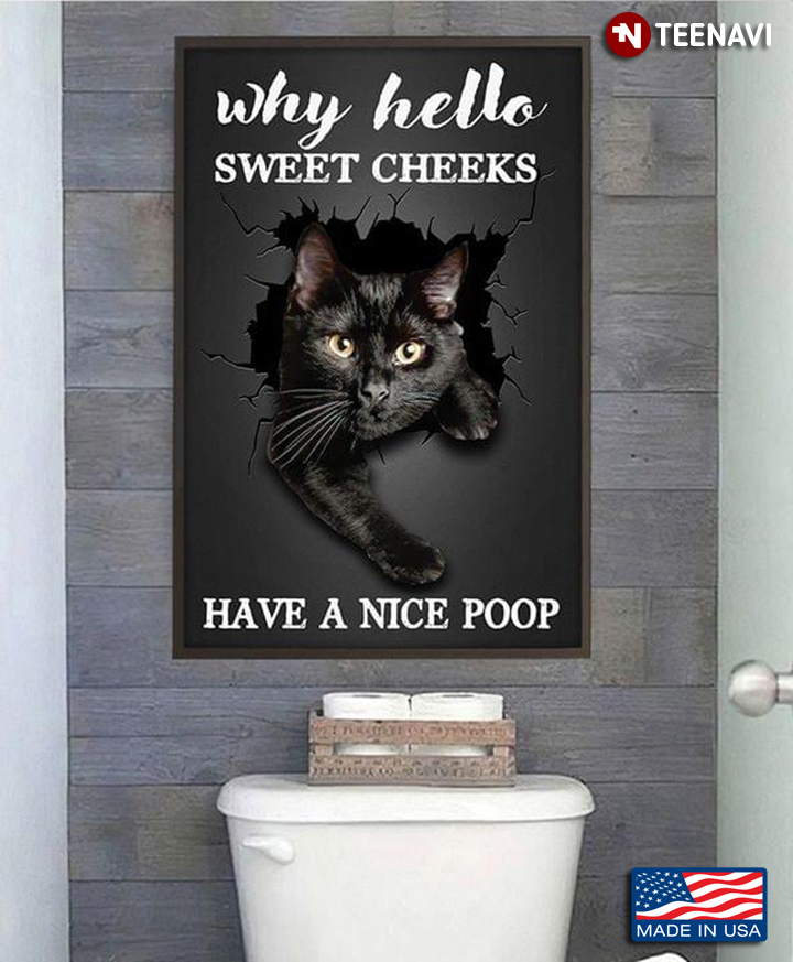 Vintage Black Cat Why Hello Sweet Cheeks Have A Nice Poop