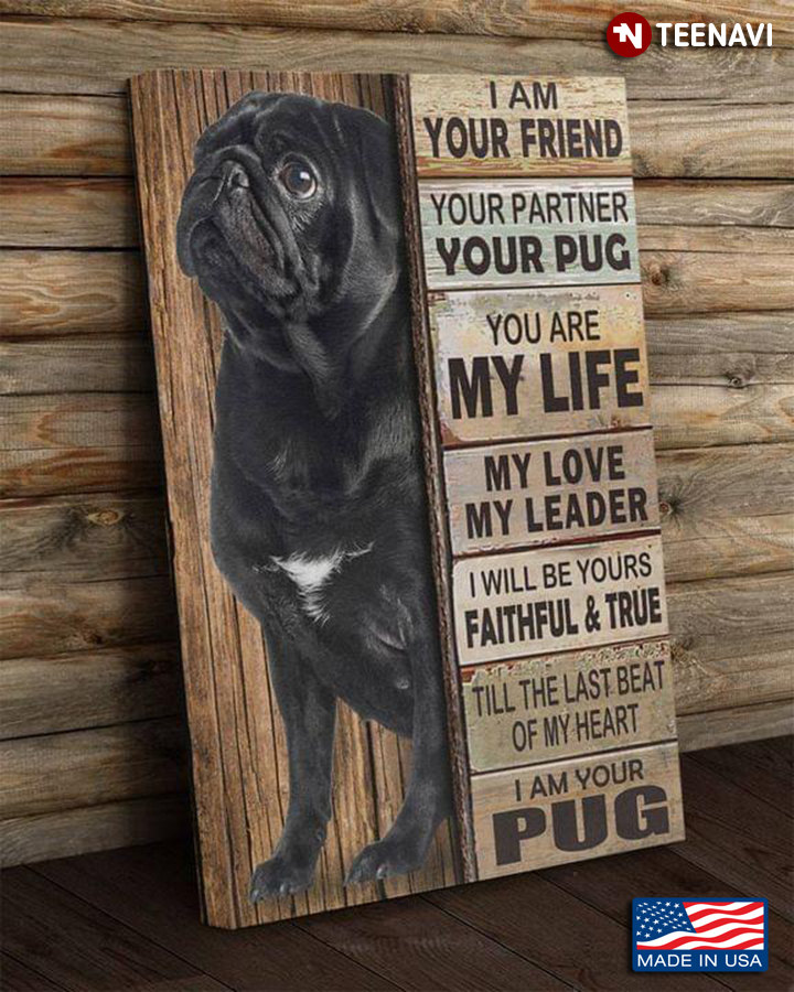 Vintage Pug Puppy I Am Your Friend Your Partner Your Pug You Are My Life My Love My Leader