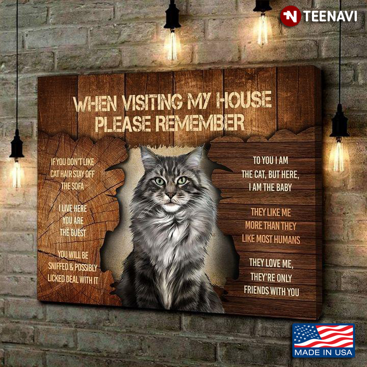 Maine Coon Cat Knowledge Poster For Family Going To Adopt A Maine Coon Cat 