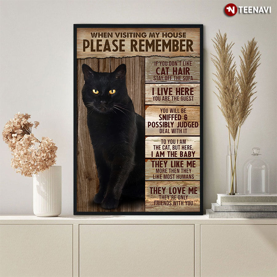 Black Cat When Visiting My House Please Remember If You Don’t Like Cat Hair Stay Off The Sofa Poster