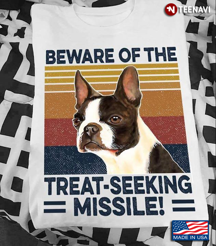 Boston Beware Of The Treat- Seeing Missile
