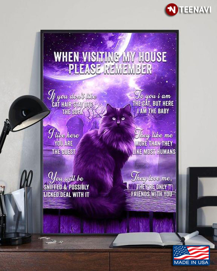 Purple Maine Coon Cat When Visiting My House Please Remember If You Don’t Like Cat Hair Stay Off The Sofa