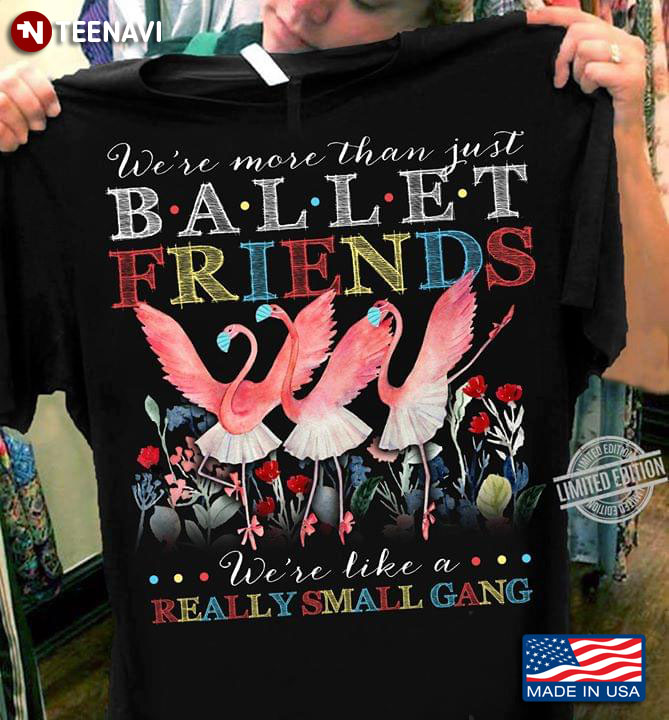 Dancing Flamingo We're More Than Just Ballet Friends We're Like A Really Small Gang T-Shirt