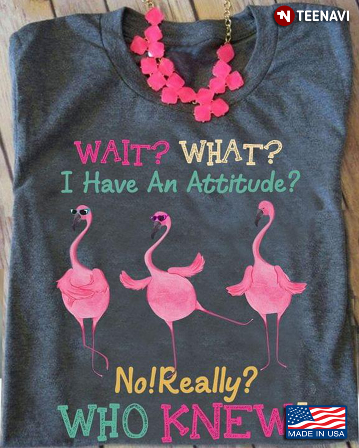 Wait What I Have An Attitude No Really Who Knew Three Flamingos