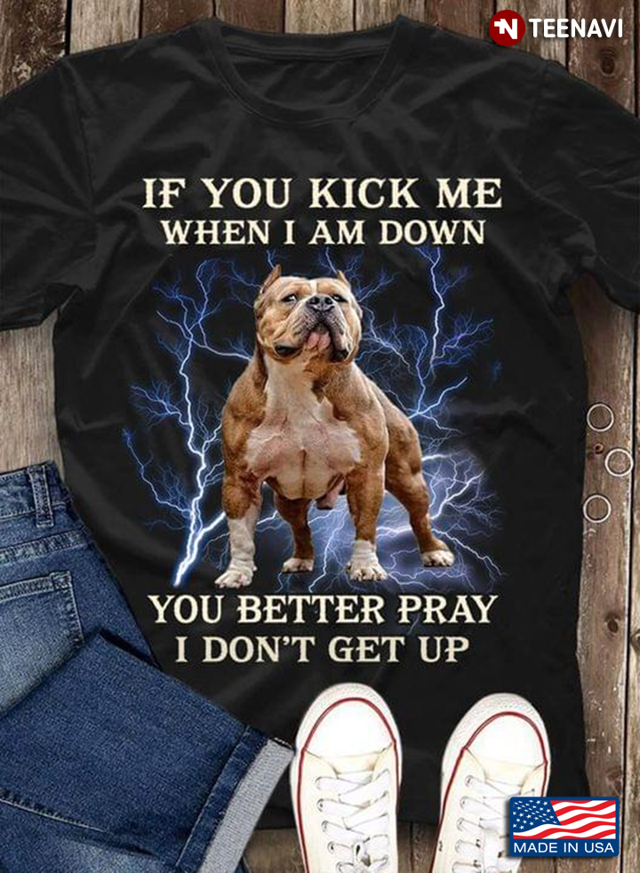 If You Kick Me When I Am Down You Better Pray I Don't Get Up American Bully Dog