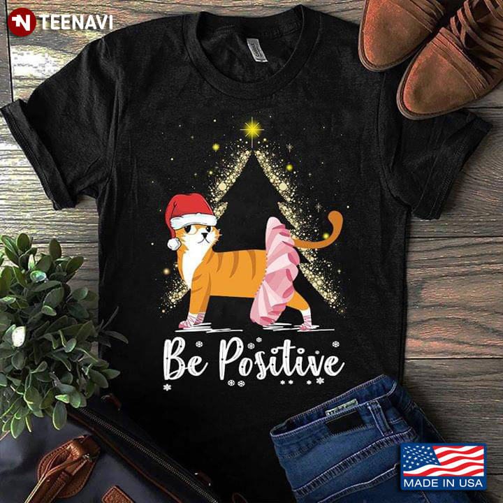 Be Positive Cat With Christmas Hat And Ballet Tutu