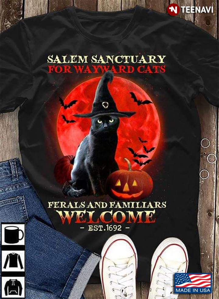 Wicth Cat  Halloween Pumpkin  Salem Sanctuary For Wayward Cats Ferals And Familiars Welcome EST 1692
