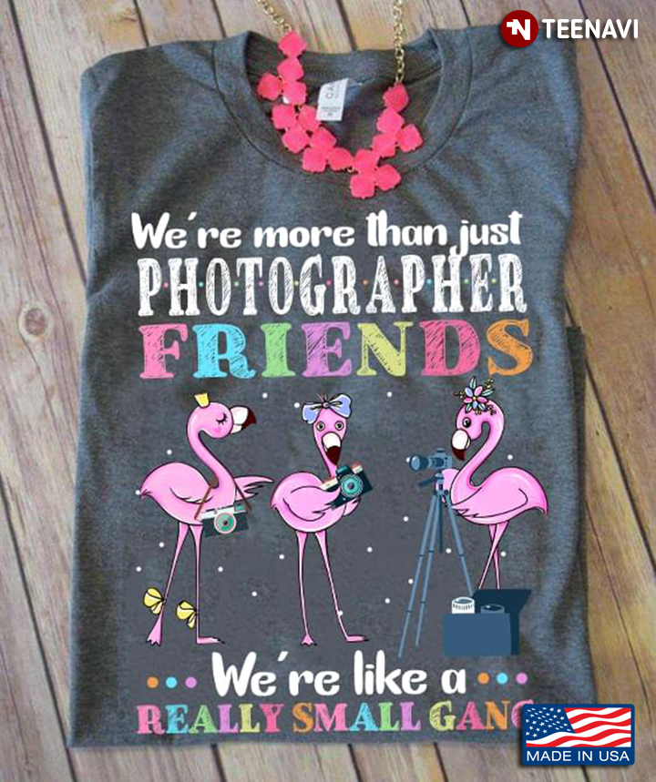 Flamingo We're Are More Than Just Photographer Friends We're Like  A Really Small Gang