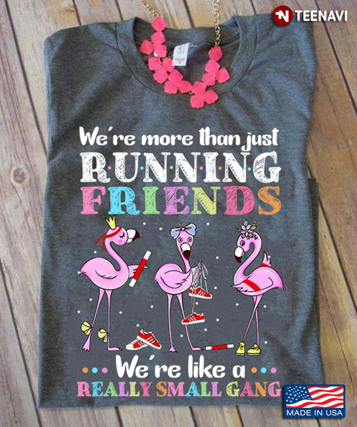 We’re More Than Just Running  Friends We’re Like A Really Small Gang Flamingo