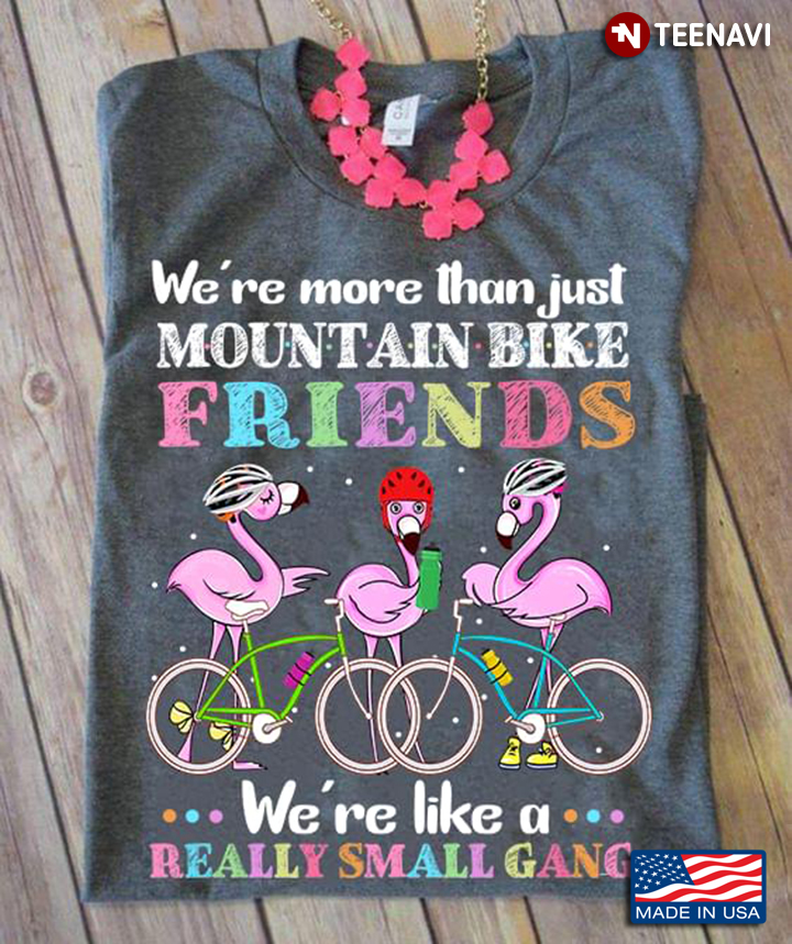 We’re More Than Just Mountain Bike  Friends We’re Like A Really Small Gang Flamingo
