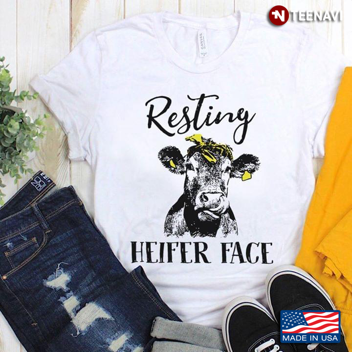 Cow Resting Heifer Face