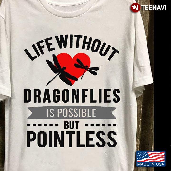 Life Without Dragonflies Is Possible But Pointless Dragonfly