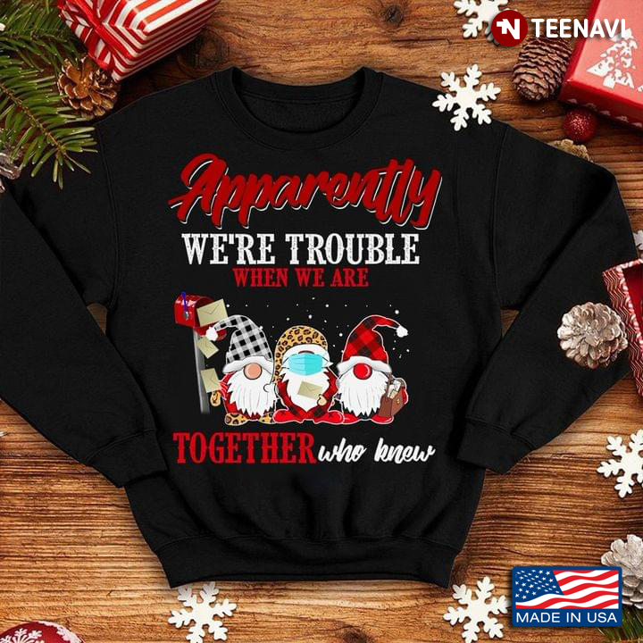 Apparently We're Trouble When We Are Together Who Knew Gnomes Postal Worker Christmas