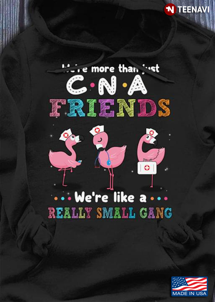 We're More Than Just CNA Friends We're Like A Really Small Gang Three Flamingo Nurses