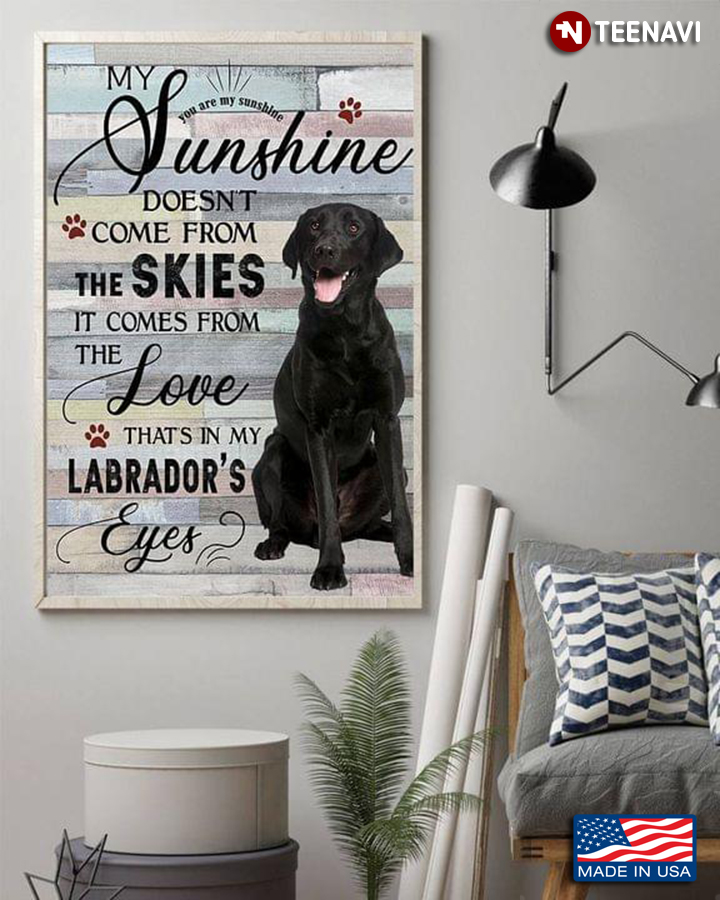 Cute Black Labrador You Are My Sunshine My Sunshine Doesn’t Come From The Skies