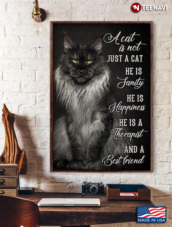 Vintage Maine Coon Cat A Cat Is Not Just A Cat He Is Sanity He Is Happiness