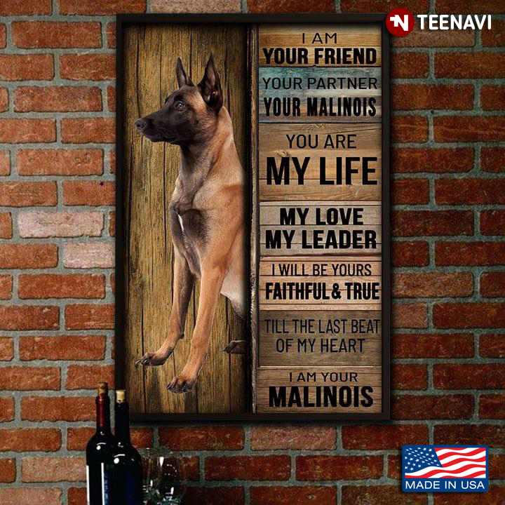 Half-face Portrait Of Malinois I Am Your Friend Your Partner Your Malinois You Are My Life My Love My Leader