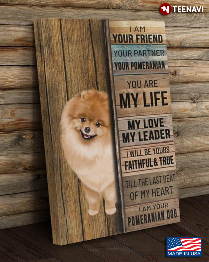 Cute Pomeranian I Am Your Friend Your Partner Your Pomeranian You Are My Life My Love My Leader