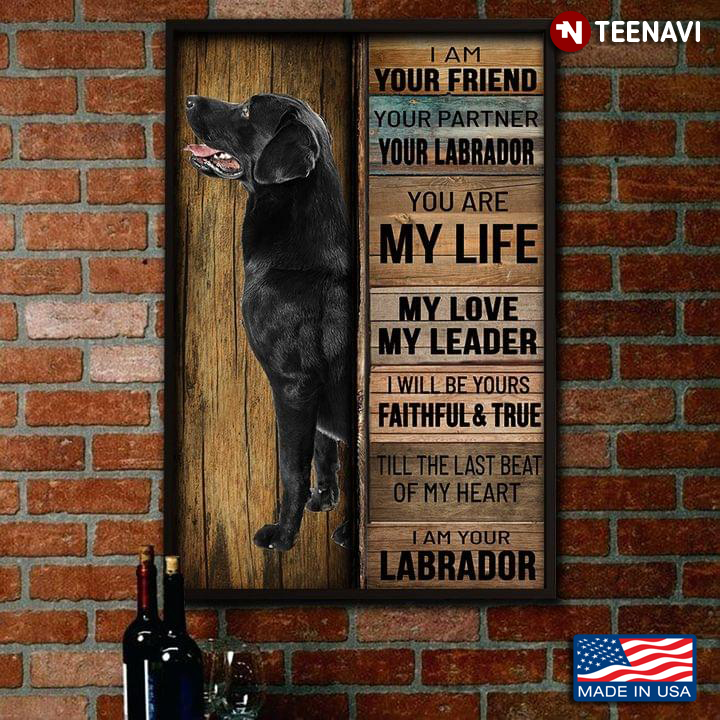 Vintage Black Labrador Retriever I Am Your Friend Your Partner Your Labrador You Are My Life My Love My Leader