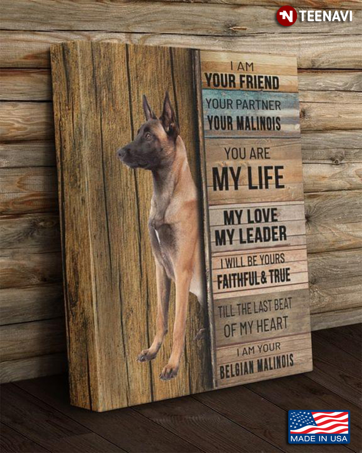 Vintage Belgian Malinois I Am Your Friend Your Partner Your Malinois You Are My Life My Love My Leader