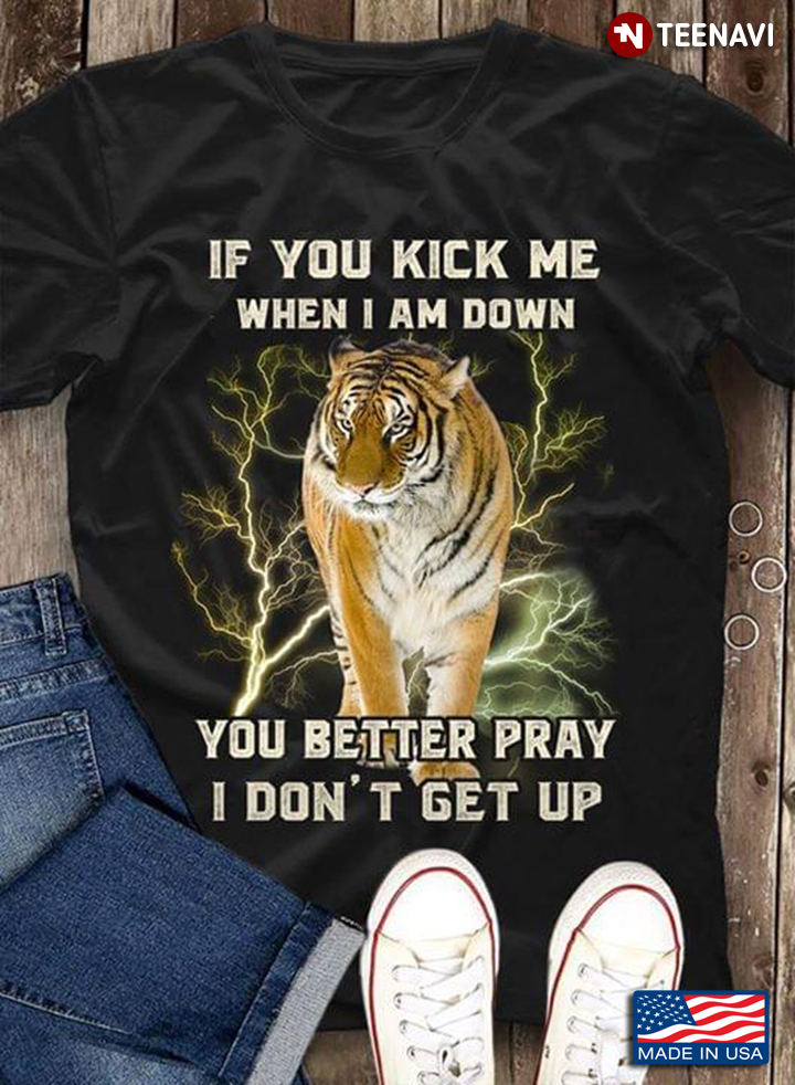 If You Kick Me When I Am Down You Better  Pray I Don't Get Up