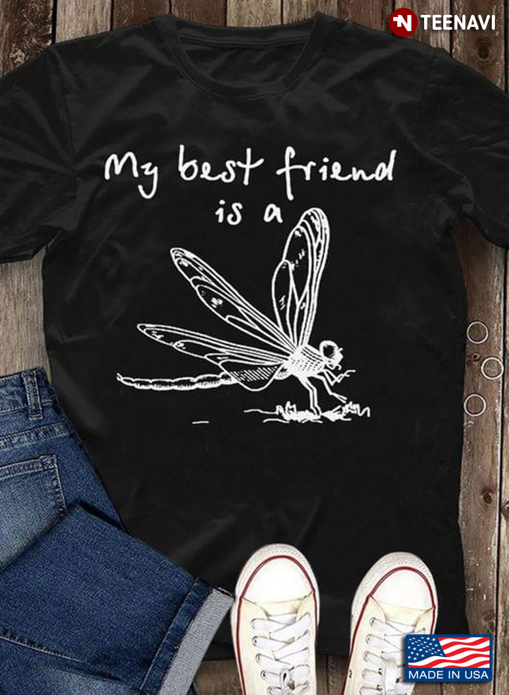 My Best Friend Is A Dragonfly
