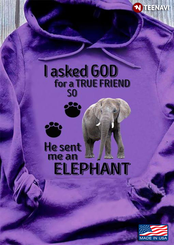 I Asked God For A True Friend So He Sent Me An Elephant