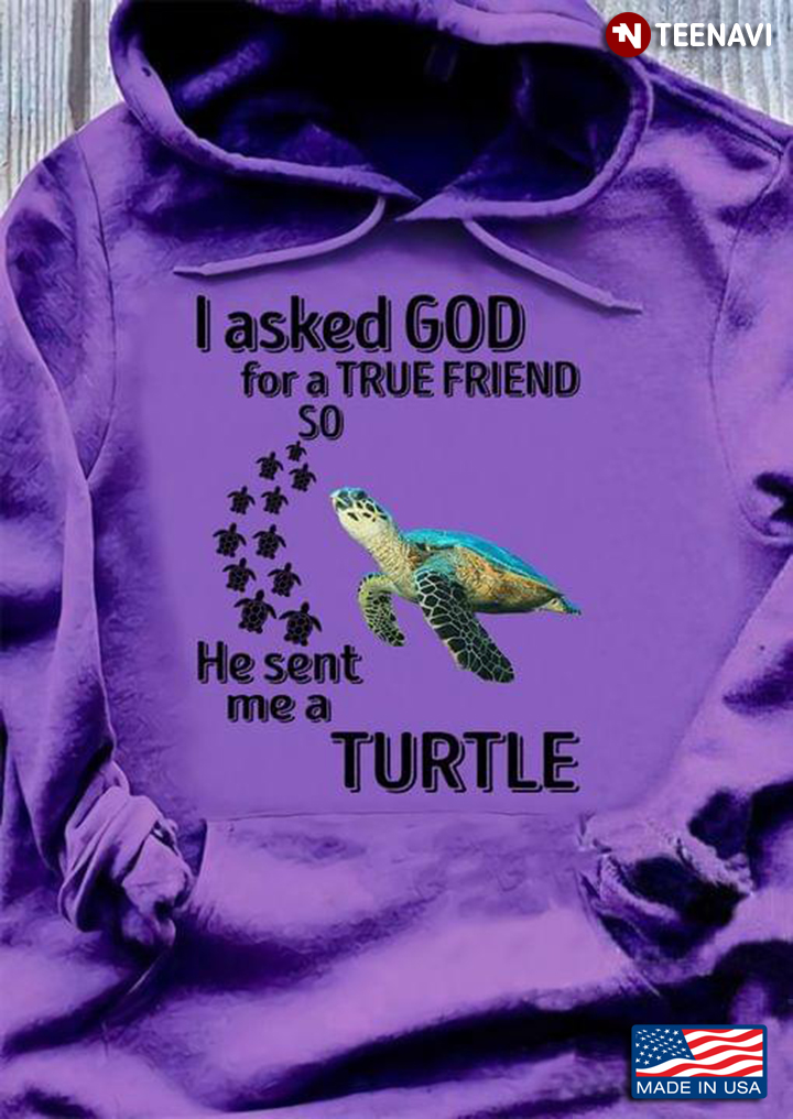 I Asked God For A True Friend So He Sent Me Turtle