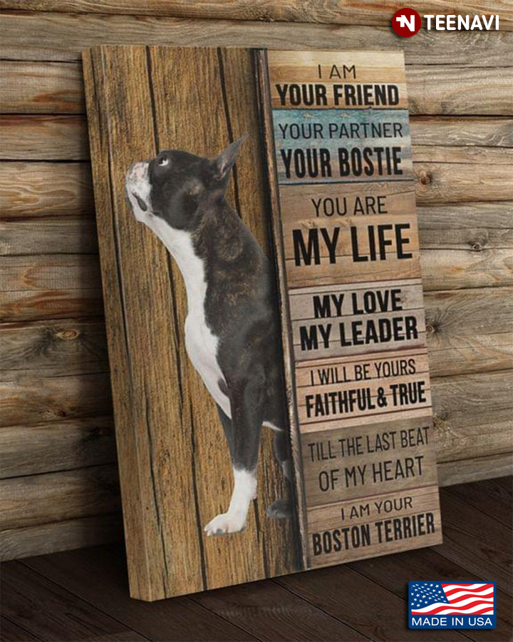 Vintage Boston Terrier I Am Your Friend Your Partner Your Bostie You Are My Life My Love My Leader
