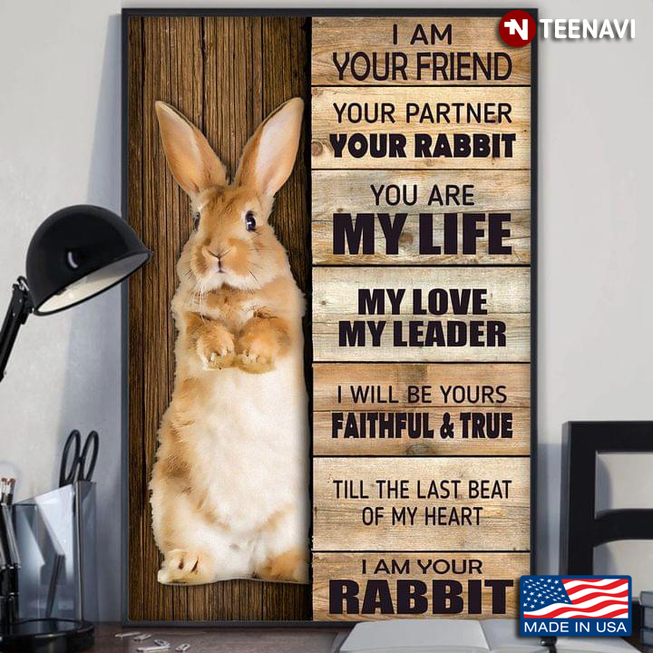Vintage Rabbit I Am Your Friend Your Partner Your Rabbit You Are My Life My Love My Leader