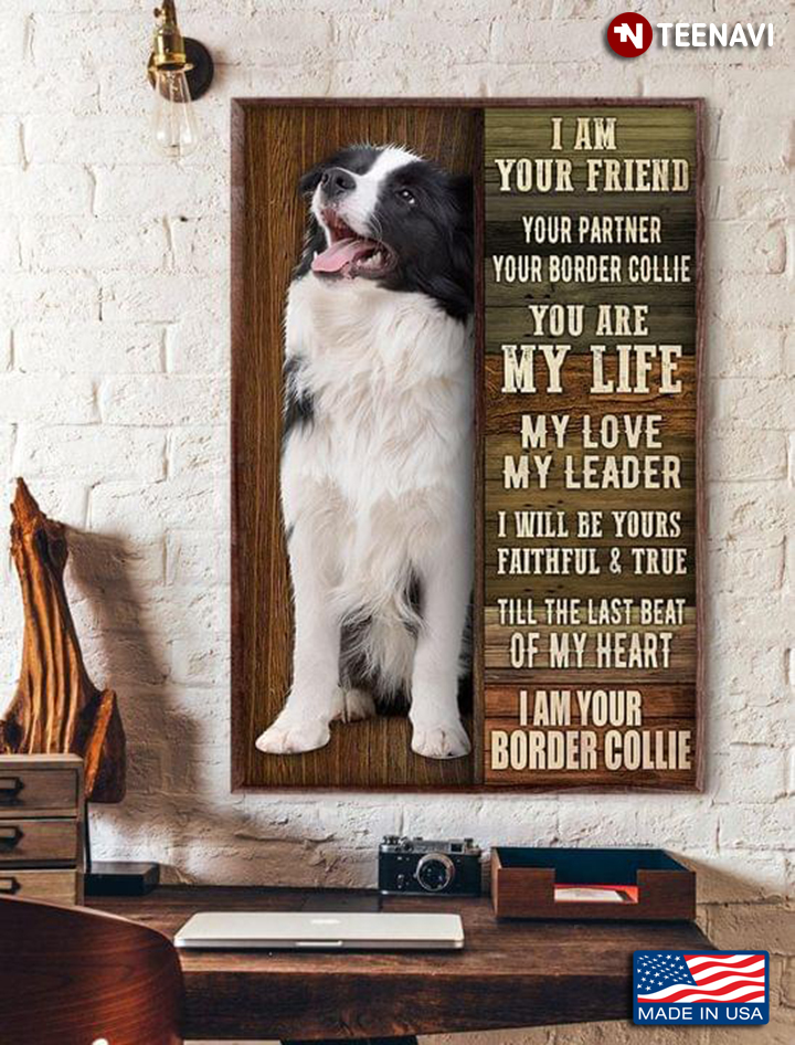 Vintage Border Collie I Am Your Friend Your Partner Your Border Collie You Are My Life My Love My Leader