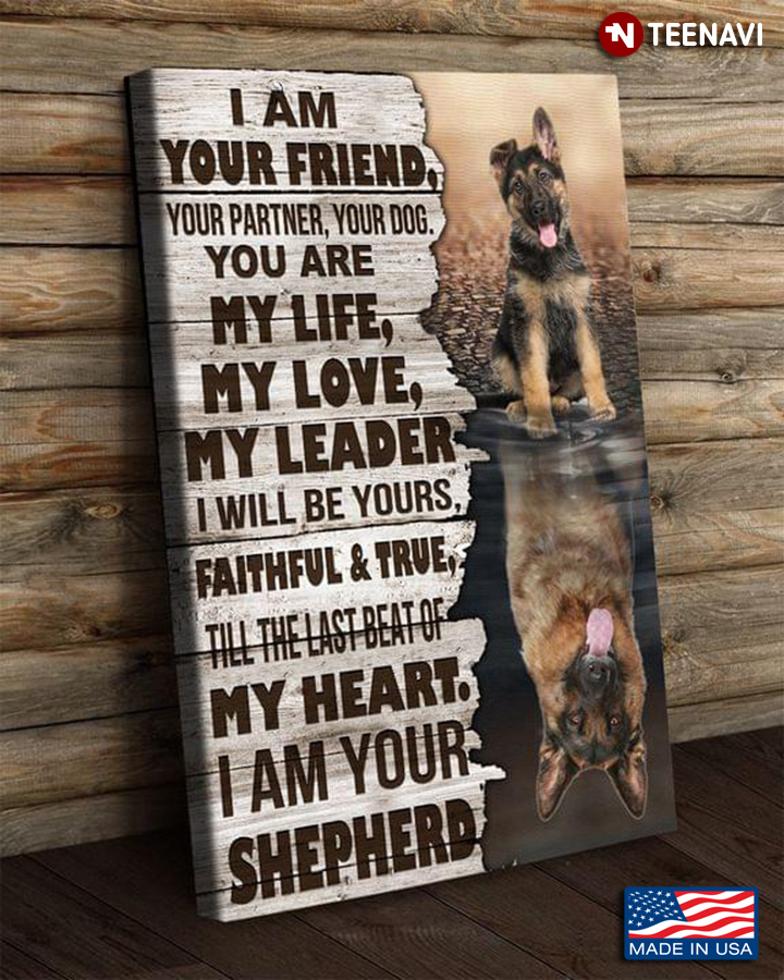 German Shepherd Dogs Water Reflection I Am Your Friend, Your Partner, Your Dog