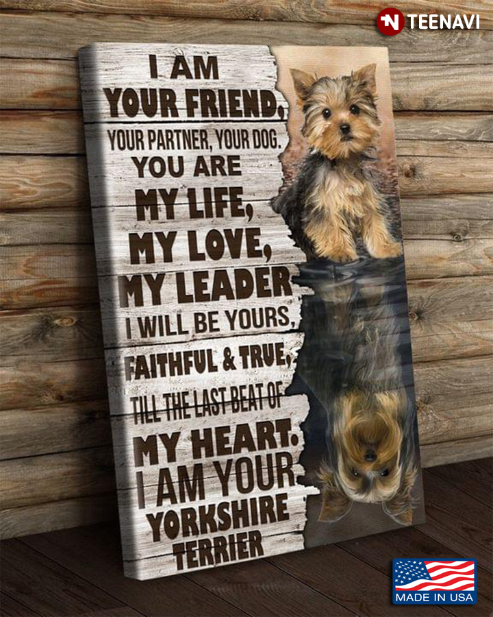 Vintage Yorkshire Terrier Dogs Water Reflection I Am Your Friend, Your Partner, Your Dog