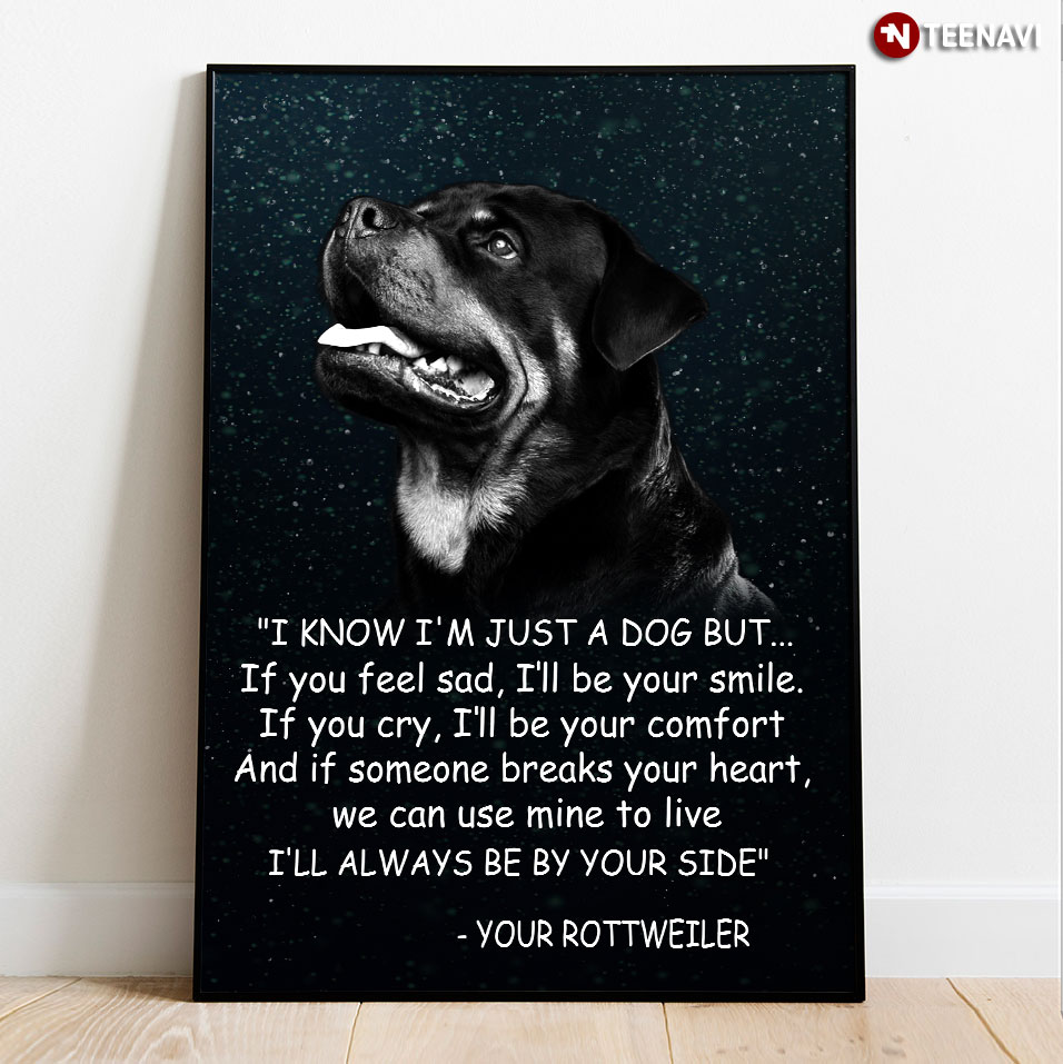 Black Theme Rottweiler Dog I Know I’m Just A Dog But… If You Feel Sad I’ll Be Your Smile Poster