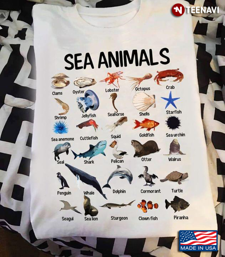 Sea Animals Clams Oyster Crab Shells Seahorse Walrus Dolphin Turtle