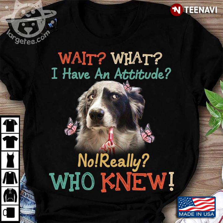 Wait What I Have An Attitude No Really Who Knew Collie And Butterflies