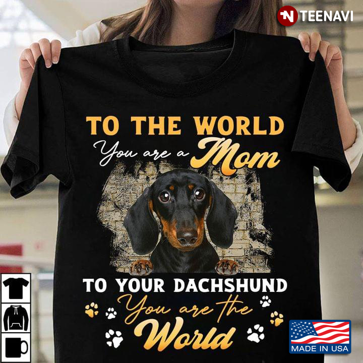 To The World You Are A Mom To Your Dachshund You Are The World